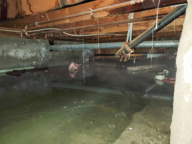 Best Water damage restoration experts  in Hebron, NE