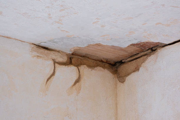 Best Water damage restoration near me  in Hebron, NE