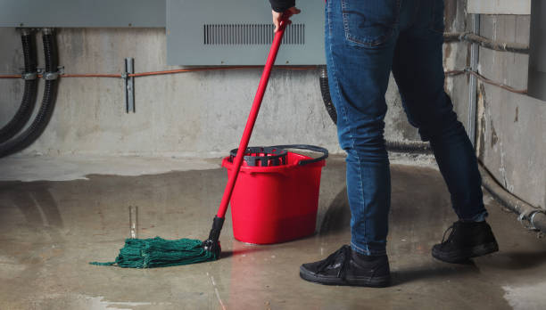 Best Water damage cleanup near me  in Hebron, NE