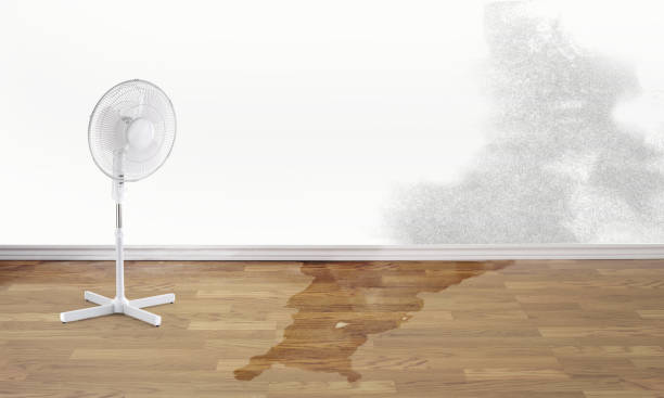 Best Residential water damage restoration  in Hebron, NE